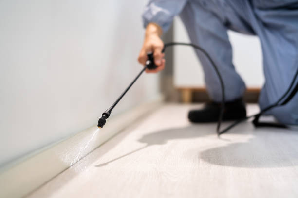 Licensed Termite Control service in Pocono Woodland Lakes, PA - Nex Pest Control