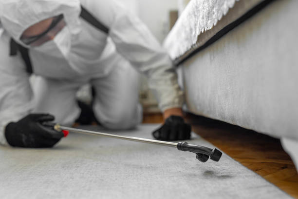 Professional Termite Control technician working in Pocono Woodland Lakes, PA