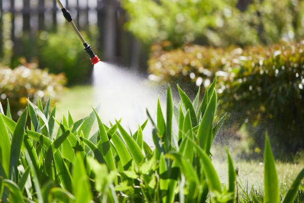 24/7 Emergency Termite Control experts in Pocono Woodland Lakes, PA