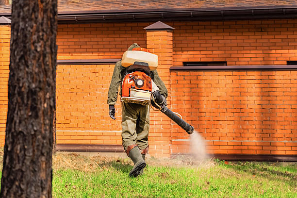 Trusted Termite Control service in Pocono Woodland Lakes, PA - Nex Pest Control
